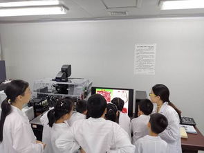 牢記初心使命 技術(shù)服務(wù)社會——科學(xué)實驗中心黨支部成功舉辦首屆少兒科普活動